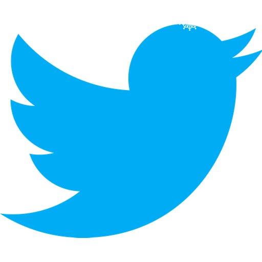 twitter twitter